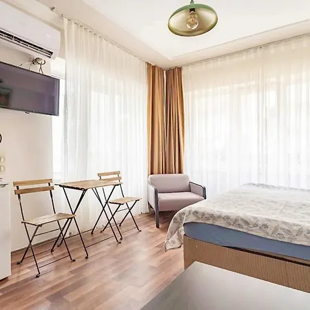 1st Floor Historic Flat In Old * Istanbulská provincie