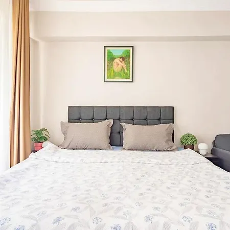 1st Floor Historic Flat In Old *