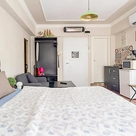 公寓 1st Floor Historic Flat In Old *