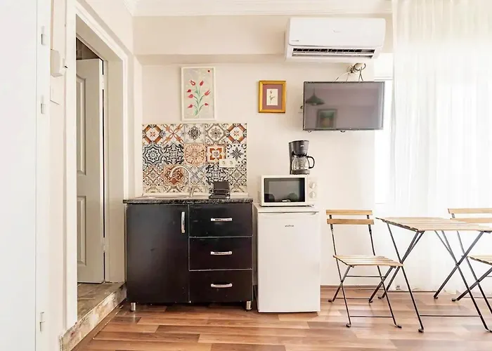 1st Floor Historic Flat In Old Stambuł