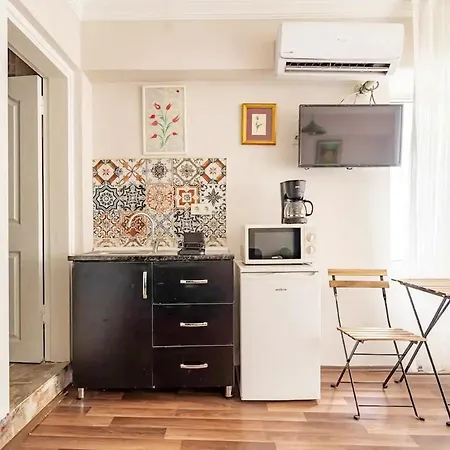 1st Floor Historic Flat In Old Istanboel